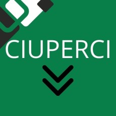 Ciuperci Ciuperci