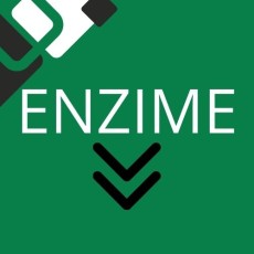 Enzime Enzime