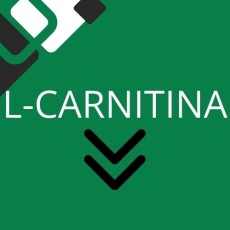 L-Carnitina L-Carnitina