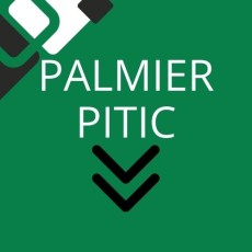 Palmier pitic (Saw palmetto) Palmier pitic (Saw palmetto)