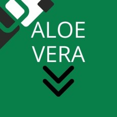 Aloe vera Aloe vera