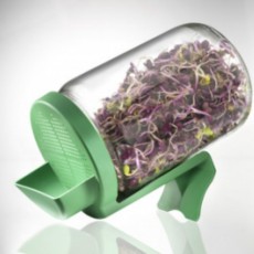 Germinatoare Germinatoare