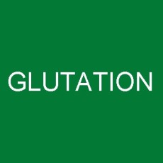Glutation Glutation