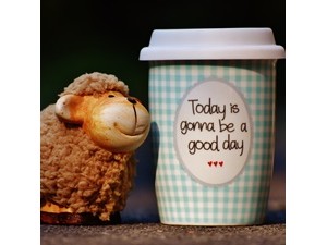 Câțiva pași esențiali pentru o stare de bine