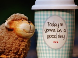 Câțiva pași esențiali pentru o stare de bine Câțiva pași esențiali pentru o stare de bine