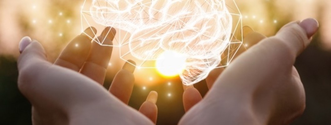 Fosfolipidele: cel mai bun supliment pentru activitatea creierului