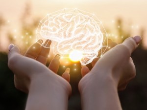 Fosfolipidele: cel mai bun supliment pentru activitatea creierului Fosfolipidele: cel mai bun supliment pentru activitatea creierului