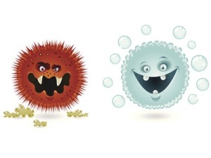 Microbiomul intestinal. Prieten sau dusman? Microbiomul intestinal. Prieten sau dusman?