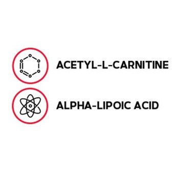 Gnc Acetyl-l-carnitine Alpha-lipoic Acid, Ala Acetil L-carnitina 500 Mg Si Acid Alfa Lipoic 200 Mg, 60 Tb