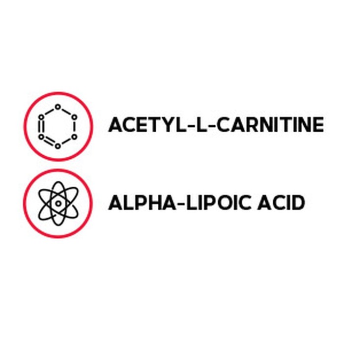 Gnc Acetyl-l-carnitine Alpha-lipoic Acid, Ala Acetil L-carnitina 500 Mg Si Acid Alfa Lipoic 200 Mg, 60 Tb Gnc Acetyl-l-carnitine Alpha-lipoic Acid, Ala Acetil L-carnitina 500 Mg Si Acid Alfa Lipoic 200 Mg, 60 Tb