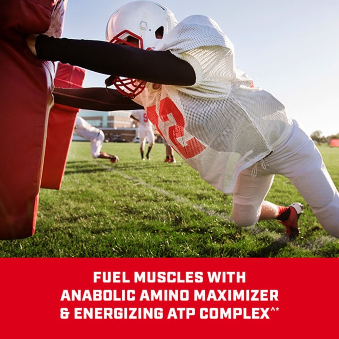 Gnc Pro Performance Bulk 1340, Formula Proteica Pentru Crestere In Greutate, Cu Aroma De Biscuiti Si Frisca, Testata Antidoping, 3240 G Gnc Pro Performance Bulk 1340, Formula Proteica Pentru Crestere In Greutate, Cu Aroma De Biscuiti Si Frisca, Testata Antidoping, 3240 G