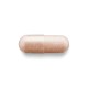 Gnc Herbal Plus Grape Seed 300 Mg, Extract Din Seminte De Struguri, 100 Cps Gnc Herbal Plus Grape Seed 300 Mg, Extract Din Seminte De Struguri, 100 Cps