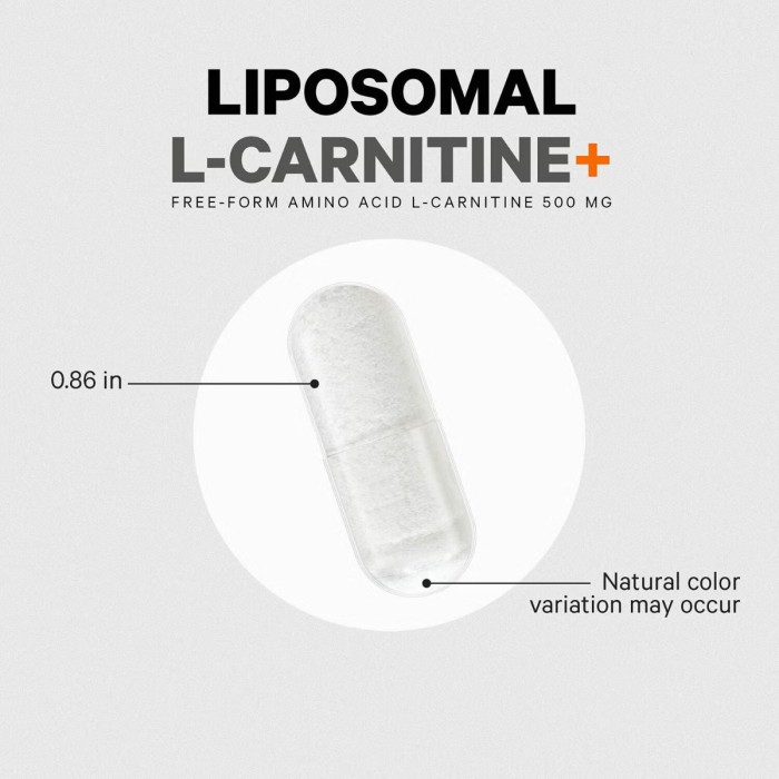 Codeage Liposomal L-carnitine+ , L-carnitina Lipozomala Pentru Energie Celulara Si Suport Metabolic, 90 Cps Codeage Liposomal L-carnitine+ , L-carnitina Lipozomala Pentru Energie Celulara Si Suport Metabolic, 90 Cps
