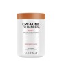 Codeage Creatine Gummies 5g, Jeleuri Delicioase Cu Creatina Pentru Energie Si Performanta Musculara, Cu Aroma De Fructe De Padure, 120 Jeleuri