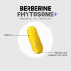 Codeage Berberine Phytosome,formula Pentru Echilibru Glicemic Si Sustinerea Metabolismului Cu Berberina, 60 Cps Codeage Berberine Phytosome,formula Pentru Echilibru Glicemic Si Sustinerea Metabolismului Cu Berberina, 60 Cps