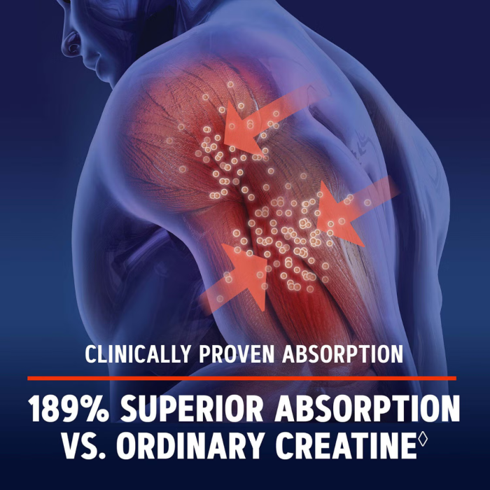 Gnc Amp Creatine Hcl 189, Creatina Hidroclorid Cu Administrare Si Absorbtie Rapida, 240 Tb Gnc Amp Creatine Hcl 189, Creatina Hidroclorid Cu Administrare Si Absorbtie Rapida, 240 Tb