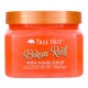 Tree Hut Shea Sugar Scrub Bikini Reef, 510 G Tree Hut Shea Sugar Scrub Bikini Reef, 510 G