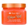 Tree Hut Shea Sugar Scrub Bikini Reef, 510 G