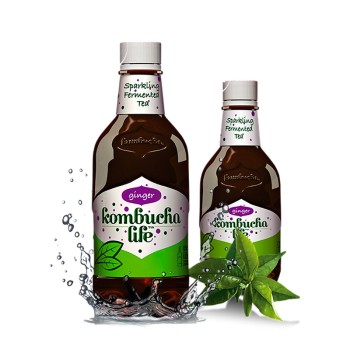Kombucha Life cu ghimbir (500 ml), Kombucha Life Kombucha Life cu ghimbir (500 ml), Kombucha Life