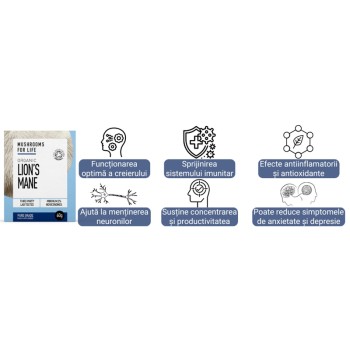 Organic Lions Mane 1000 mg Pure Grade Extract Powder (60grame), MushroomsForLife Organic Lions Mane 1000 mg Pure Grade Extract Powder (60grame), MushroomsForLife