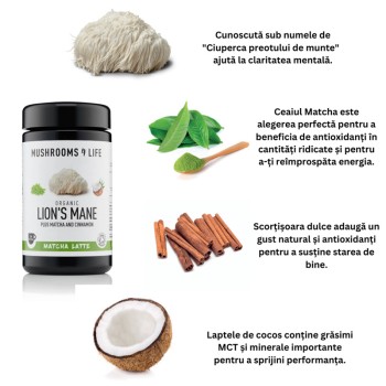 Organic Lions Mane Matcha Latte Pure Grade Extract 110 grame (20 portii), MushroomsForLife
