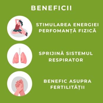 Organic Cordyceps 800 mg Pure Grade Extract (60 capsule), MushroomsForLife