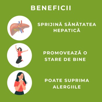 Organic Reishi 800 mg Pure Grade Extract (60 capsule), MushroomsForLife