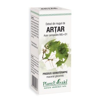 Extract din muguri de artar - Acer Campestre MG=D1 (50 ml), Plantextrakt Extract din muguri de artar - Acer Campestre MG=D1 (50 ml), Plantextrakt