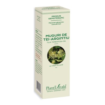Macerat glicerinic concentrat din muguri de tei argintiu - Tilia Tomentosa (15ml), Plantextrakt