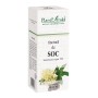 Tinctura de soc - Sambucus Nigra TM (50 ml), Plantextrakt