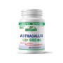 Astragalus 9000 Forte (60 capsule), Provita Nutrition