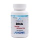 DNA Repair (60 capsule), Konig Laboratorium de la Biom.ro. Online e mai simplu DNA Repair (60 capsule), Konig Laboratorium de la Biom.ro. Online e mai simplu