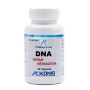 DNA Repair (60 capsule), Konig Laboratorium