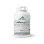 Cordyceps CSM-2000 (90 capsule), Provita Nutrition
