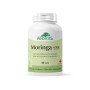 Moringa Forte 3000 mg (60 capsule), Provita Nutrition